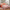 Rudra Bazaar Multi 210 TC Cotton Double King Bedsheet With 2 Pillow Covers