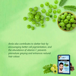 Thumbnail for download (2)