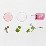 Thumbnail for download - 2025-02-03T182113.604