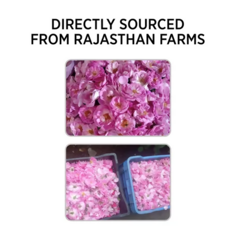 Alps Goodness Rose Petal Beauty Mask for Skin - Distacart