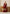 Prazu Fashion Maroon Georgette Sequin With Rivet Moti Palazzo Suit