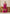Prazu Fashion Pink Georgette Sequin With Rivet Moti Palazzo Suit