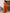 NOZ2TOZ Women's Cotton Orange Printed Ready to Wear With Blouse Piece - Distacart