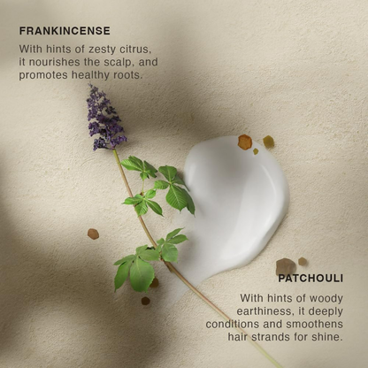 Vinci Botanicals Frankincense Patchouli Hair Conditioner - Distacart