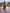 Malishka Women's Viscose Chanderi Embroidered Straight Kurta Pant With Dupatta - Wine - Distacart