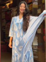 Thumbnail for Malishka Women's Viscose Printed Straight Kurta Pant With Dupatta - Sky Blue - Distacart