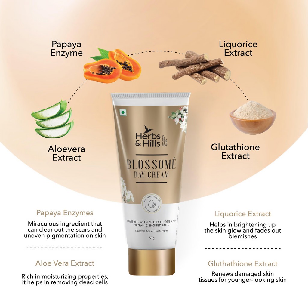 download - 2025-04-25T152709.027