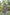 Preksha Creation Women Multicolour Georgette Floral Maxi dress Gown