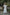Preksha Creation Women White Georgette Floral Maxi dress Gown