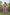 Preksha Creation Women Multicolour Georgette Floral Maxi dress Gown