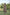 Preksha Creation Women Yellow Multicolour Georgette Floral Maxi dress Gown