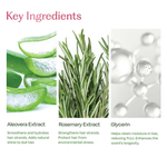 Thumbnail for Sacred Grove Rani Baug: Hair Perfume For Women