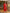 Yufta Red Dori Embroidery Voile Anarkali Kurta With Trousers With Dupatta Set