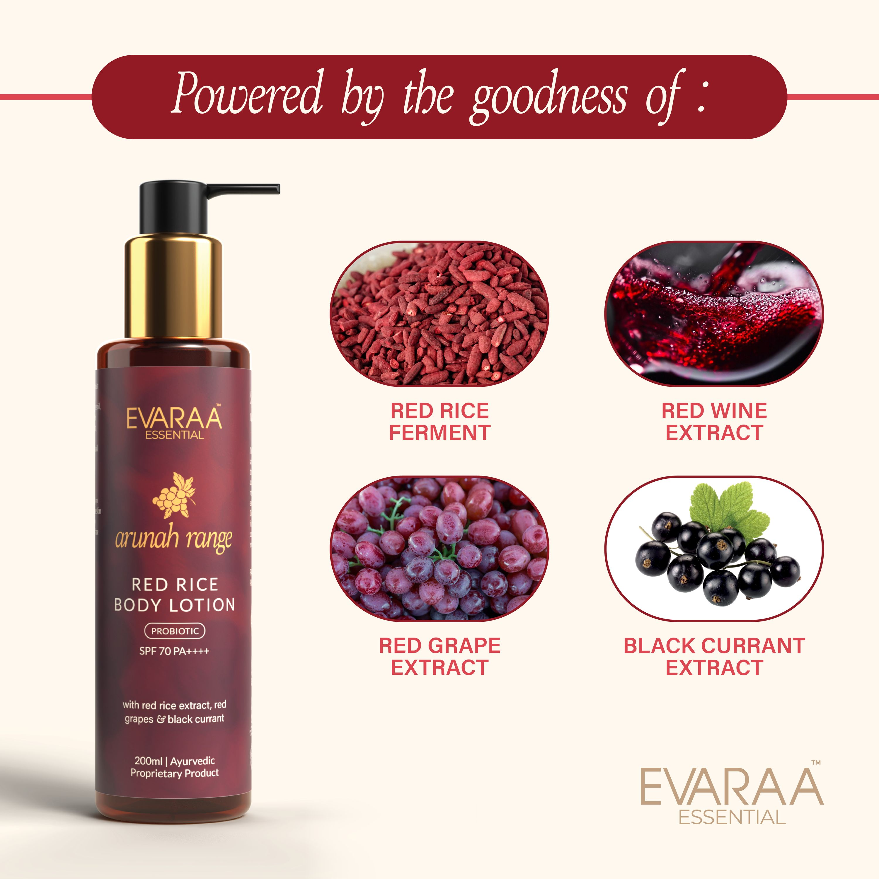 Evaraa Essential Red Rice Body Lotion - Distacart