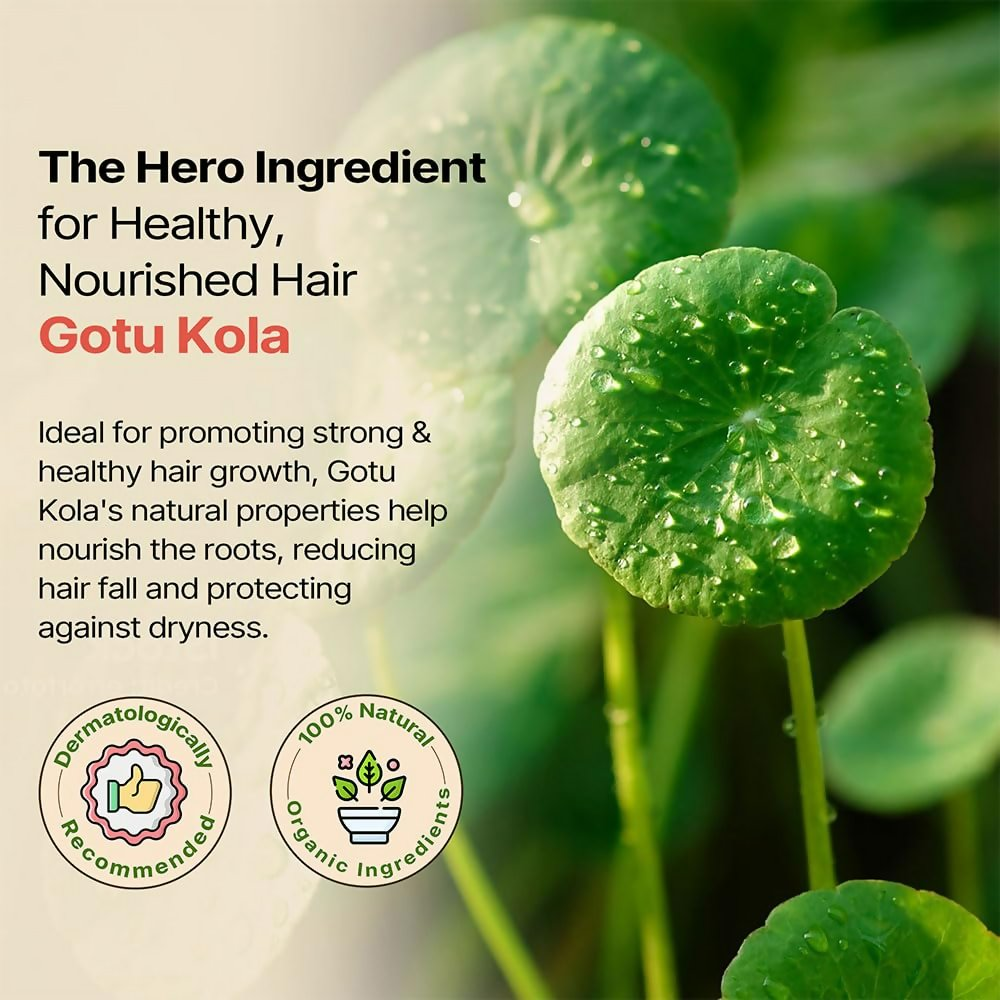 download - 2025-01-06T165816.891