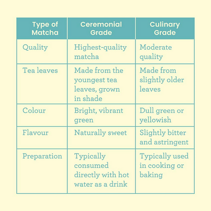 download - 2025-01-20T131000.522