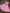 Jyoti Fashion Beautiful Pink Organza Silk Embroidered Kids Lehenga Choli Set - Distacart