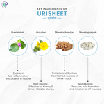 Thumbnail for Pathak Ayurvedic Pharmacy Urisheet Tablets - Distacart