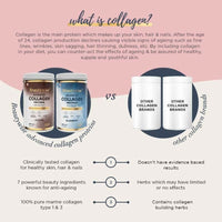Thumbnail for Beautywise Advanced Marine Collagen Anti-Aging Powder - Glutathione, HA & Biotin - Cocoa - Distacart