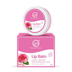 Thumbnail for Nuerma Science Rose Petals Lip Balm | Long Lasting Moisturizing Lips - Distacart