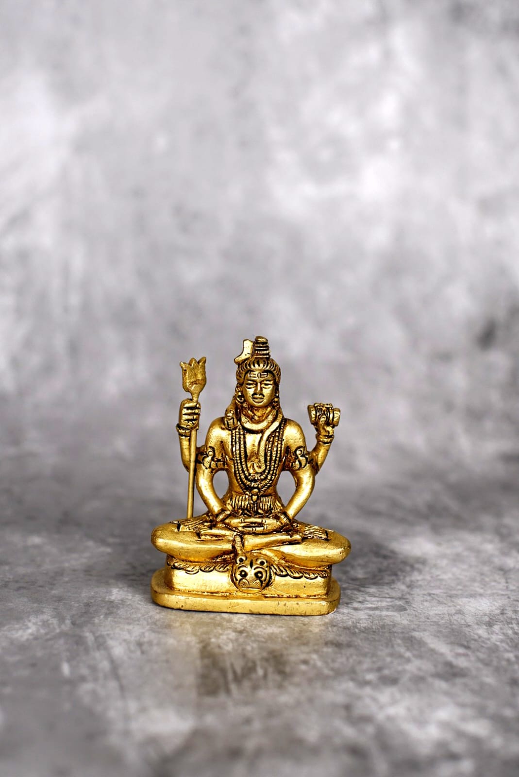 Sri Rudra Shivji – SR 01780 - Distacart