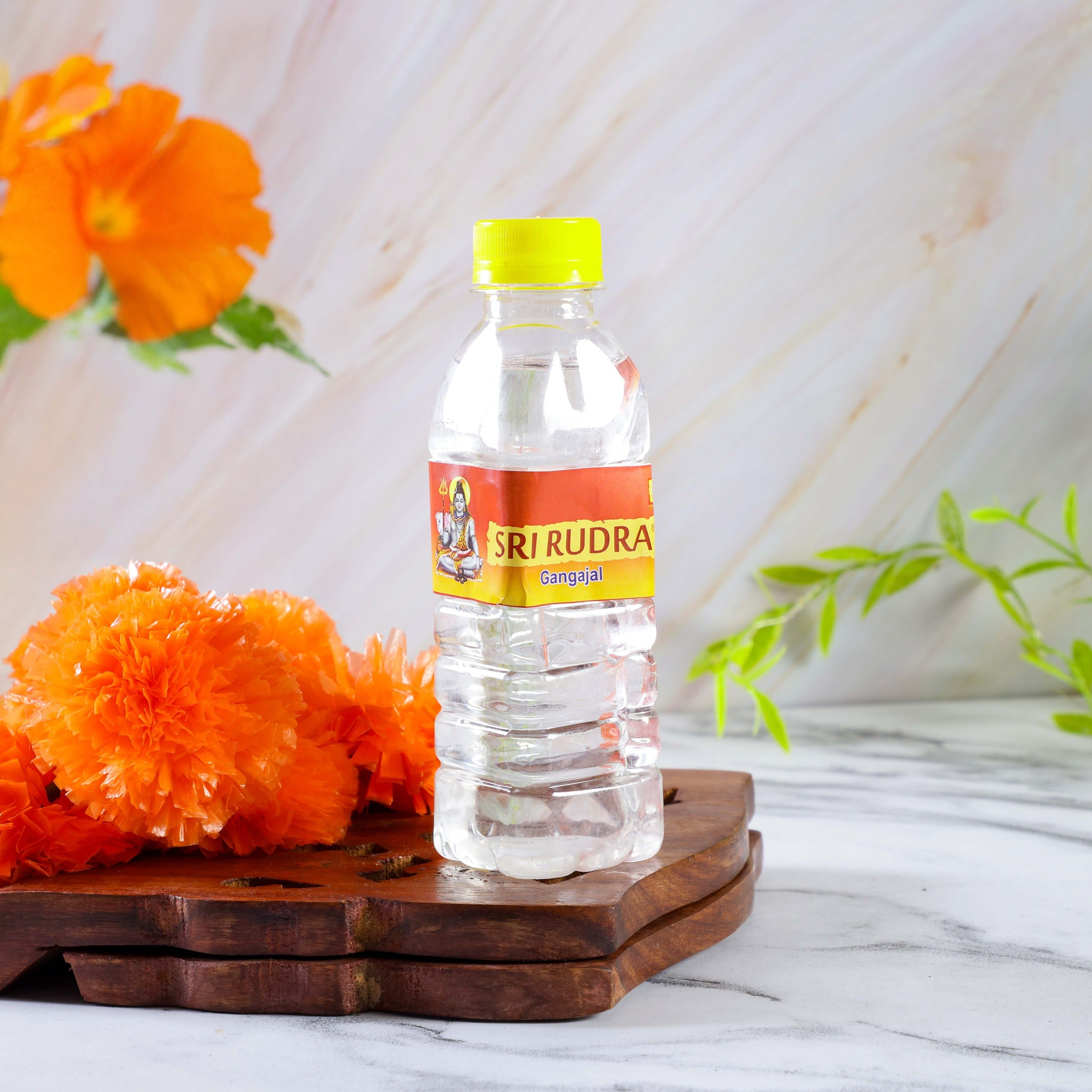 Sri Rudra Gangajal 200ml (SR 03449) - Distacart