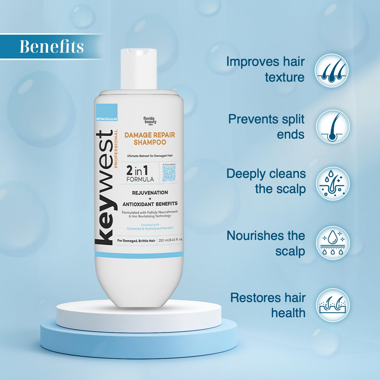 download - 2024-10-11T170205.917