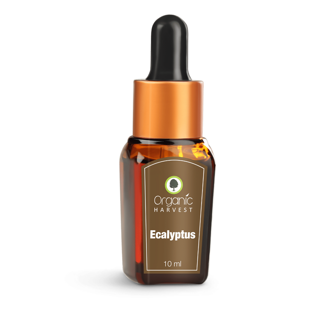 Organic Harvest Eucalyptus Essential Oil - Distacart