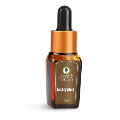 Organic Harvest Eucalyptus Essential Oil - Distacart