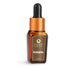 Organic Harvest Eucalyptus Essential Oil - Distacart
