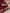 Astita Organza Maroon Saree