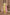 DN NO-2343-YELLOW