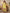 Juniper Women's The Madhubala Lime Green Floral Printed Plus Size Kurta Set - Distacart