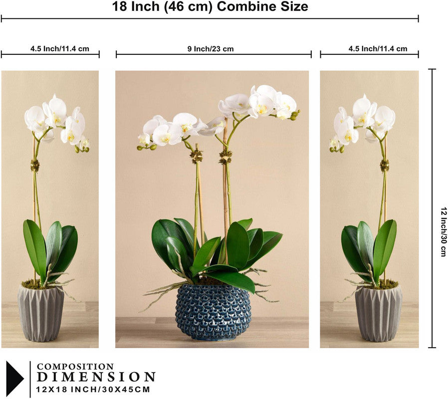 Tehzeeb Creations Set Of 3 Digital Wall Painting