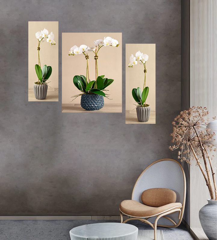 Tehzeeb Creations Set Of 3 Digital Wall Painting - Distacart
