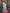 Janasya Light Blue Cotton Ethnic Print Jacquard Saree