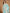 Janasya Sea Green Linen Blend Ethnic Motifs Jacquard Saree