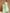 Janasya Light Green Silk Blend Floral Jacquard Saree