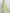 Janasya Light Green Silk Blend Geometric Jacquard Saree