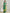 Janasya Mustard & Green Silk Blend Bandhani Printed Saree