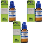 Thumbnail for SBL Homeopathy Lycopodium Clavatum Dilution