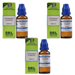 Thumbnail for SBL Homeopathy Lycopodium Clavatum Dilution