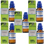 Thumbnail for SBL Homeopathy Lycopodium Clavatum Dilution