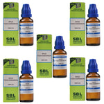 Thumbnail for SBL Homeopathy Rhus Toxicodendron Dilution