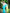NOZ2TOZ Women Linen Printed Saree With Blouse Piece - Multi - Distacart