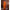 NOZ2TOZ Women Banarasi Silk Woven Saree With Blouse Piece - Mustard - Distacart