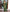 NOZ2TOZ Women Banarasi Silk Woven Saree With Blouse Piece - Green - Distacart