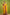 NOZ2TOZ Women Banarasi Silk Woven Saree With Blouse Piece - Yellow - Distacart