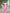 NOZ2TOZ Women Banarasi Silk Woven Saree With Blouse Piece - Pink - Distacart