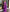 NOZ2TOZ Women Banarasi Silk Woven Saree With Blouse Piece - Magenta - Distacart